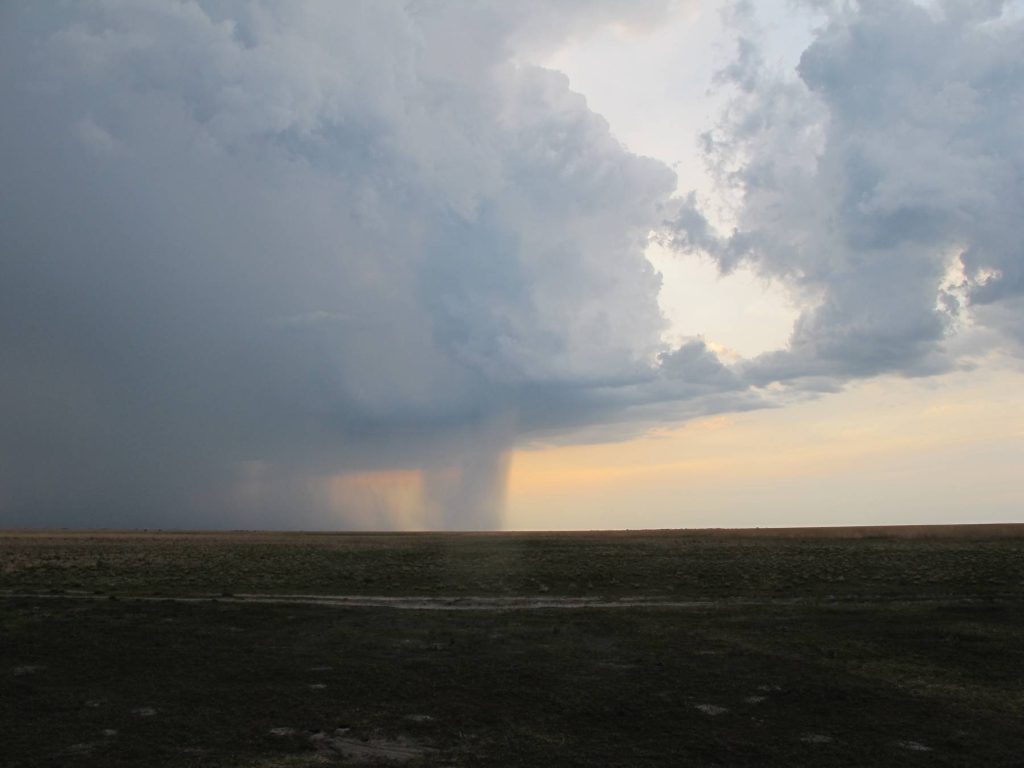 Liuwa Plain National Park