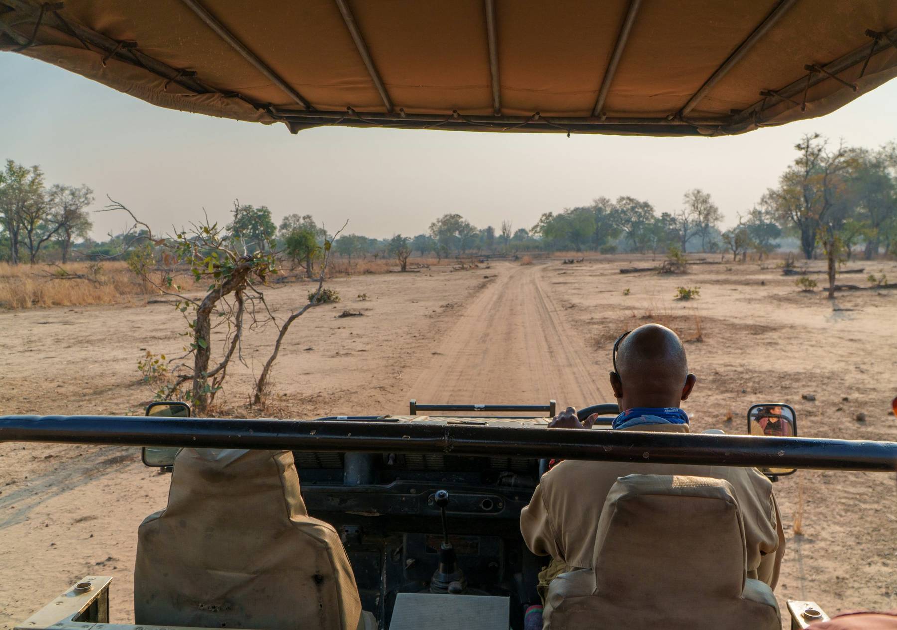 On safari, South Luangwa National Park